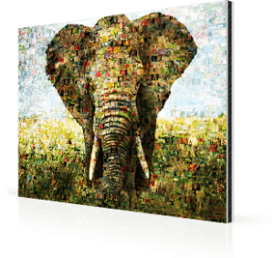 photo mosaic alu-dibond elephant