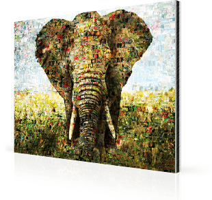 photo mosaic alu-dibond elephant